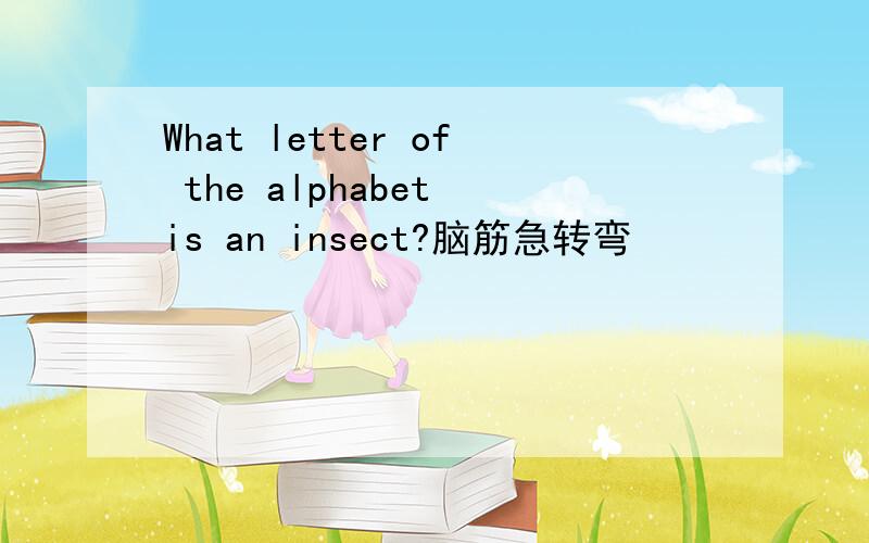 What letter of the alphabet is an insect?脑筋急转弯