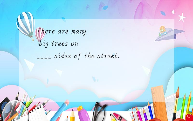 There are many big trees on ____ sides of the street.