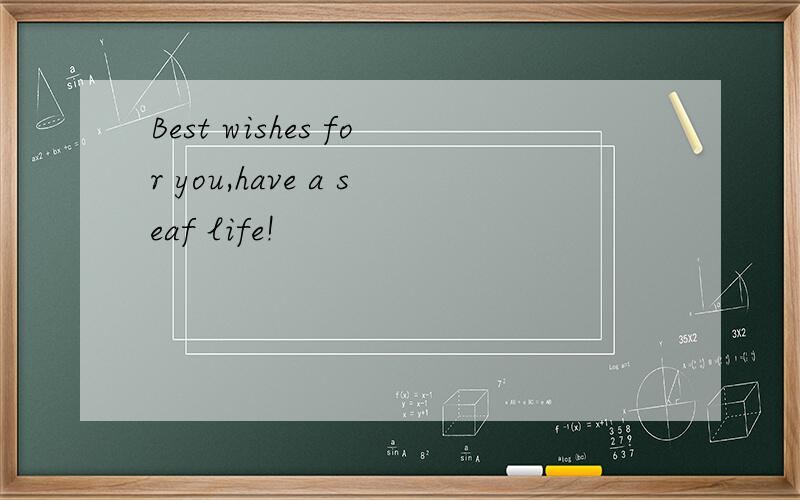 Best wishes for you,have a seaf life!