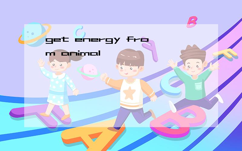 get energy from animal