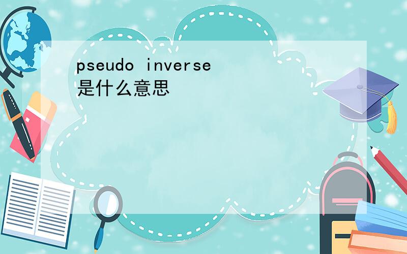 pseudo inverse是什么意思