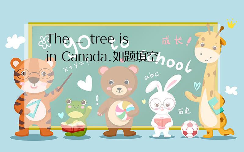 The _ tree is in Canada.如题填空