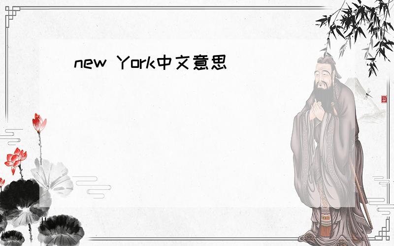 new York中文意思