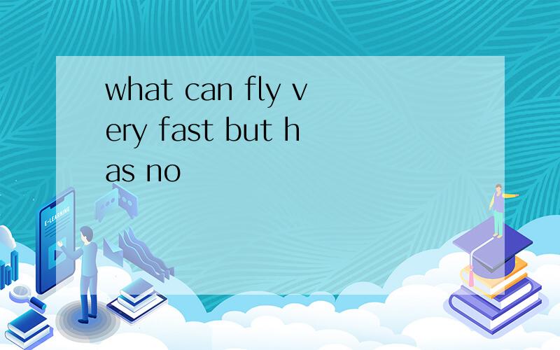 what can fly very fast but has no