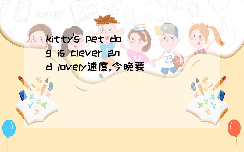 kitty's pet dog is clever and lovely速度,今晚要