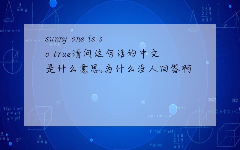 sunny one is so true请问这句话的中文是什么意思,为什么没人回答啊