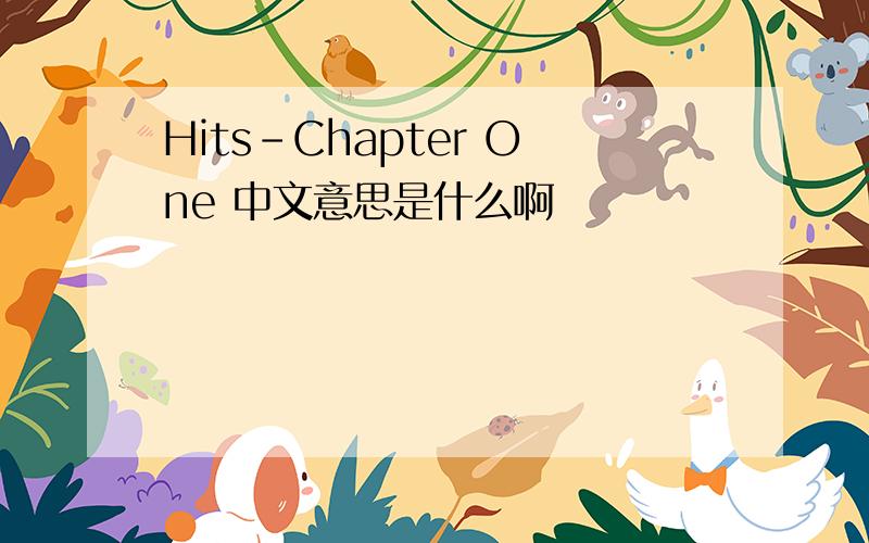 Hits-Chapter One 中文意思是什么啊