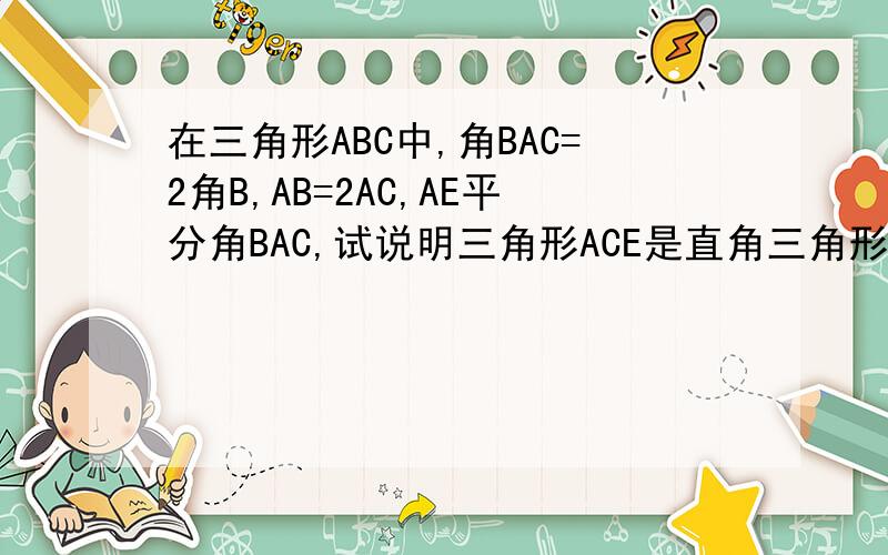 在三角形ABC中,角BAC=2角B,AB=2AC,AE平分角BAC,试说明三角形ACE是直角三角形