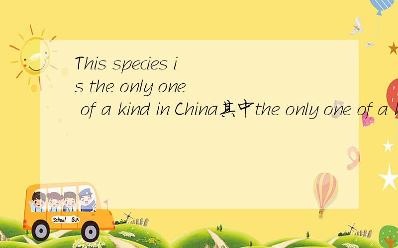 This species is the only one of a kind in China其中the only one of a kind中的a kind为什么错?