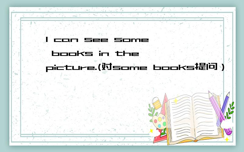I can see some books in the picture.(对some books提问）