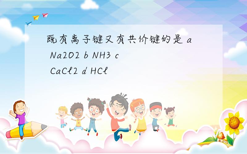 既有离子键又有共价键的是 a Na2O2 b NH3 c CaCl2 d HCl