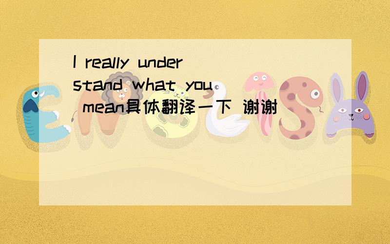 I really understand what you mean具体翻译一下 谢谢
