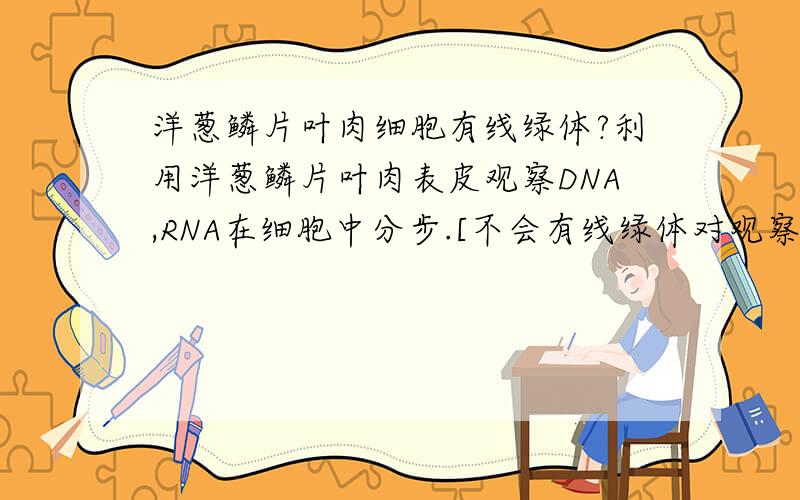 洋葱鳞片叶肉细胞有线绿体?利用洋葱鳞片叶肉表皮观察DNA,RNA在细胞中分步.[不会有线绿体对观察有影响?]