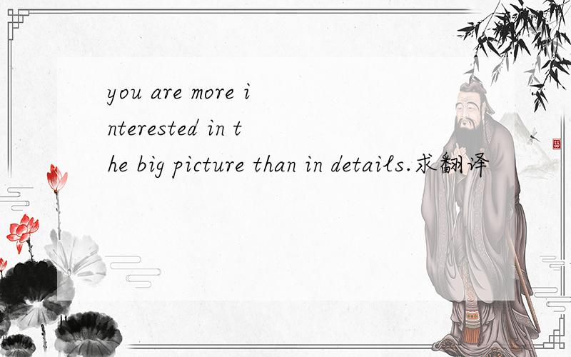 you are more interested in the big picture than in details.求翻译