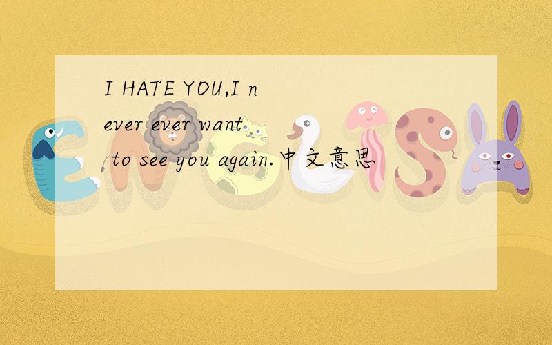 I HATE YOU,I never ever want to see you again.中文意思