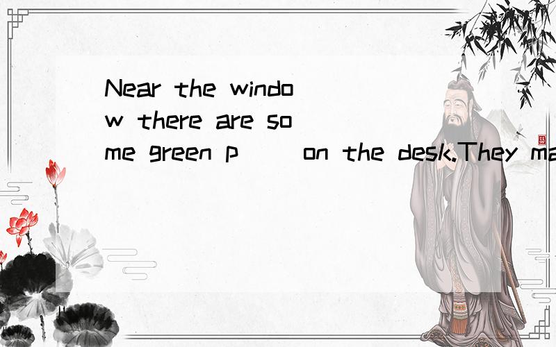 Near the window there are some green p__ on the desk.They make the air fresh.