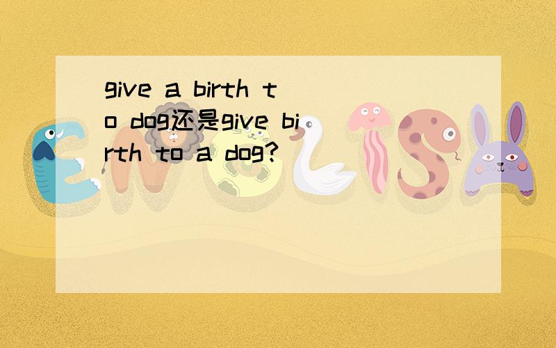 give a birth to dog还是give birth to a dog?