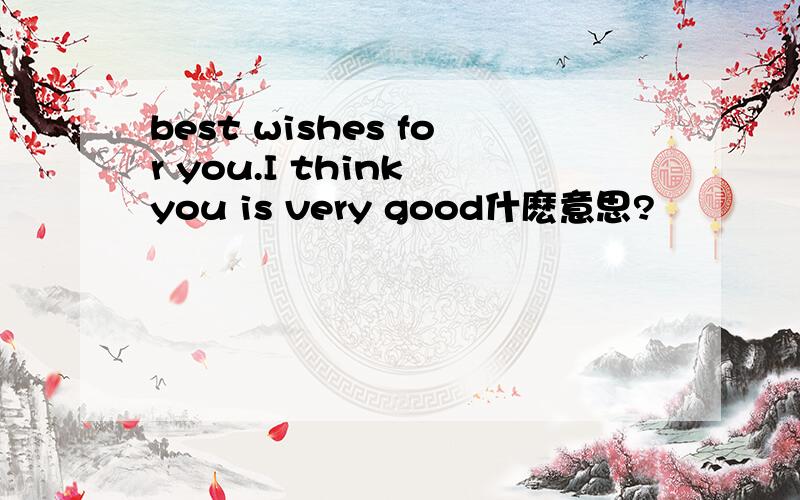 best wishes for you.I think you is very good什麽意思?