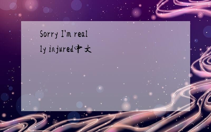 Sorry I'm really injured中文
