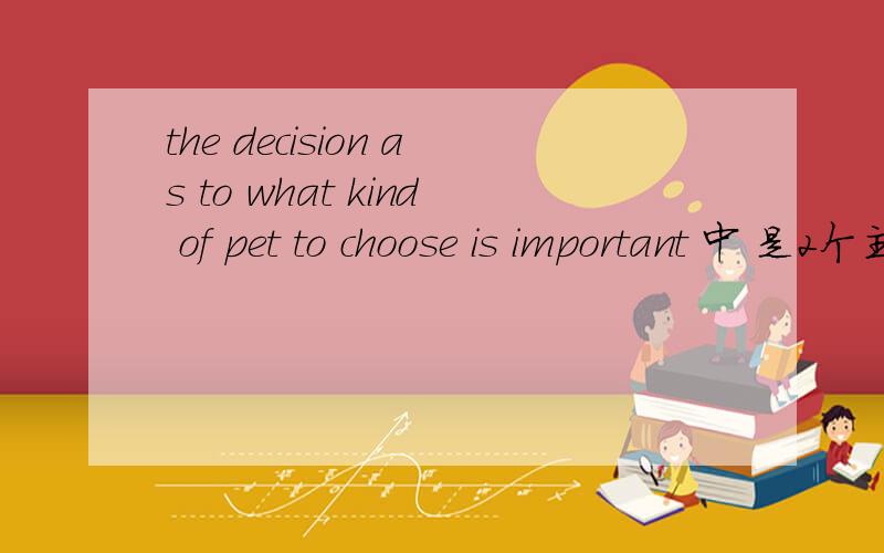 the decision as to what kind of pet to choose is important 中 是2个主语吗
