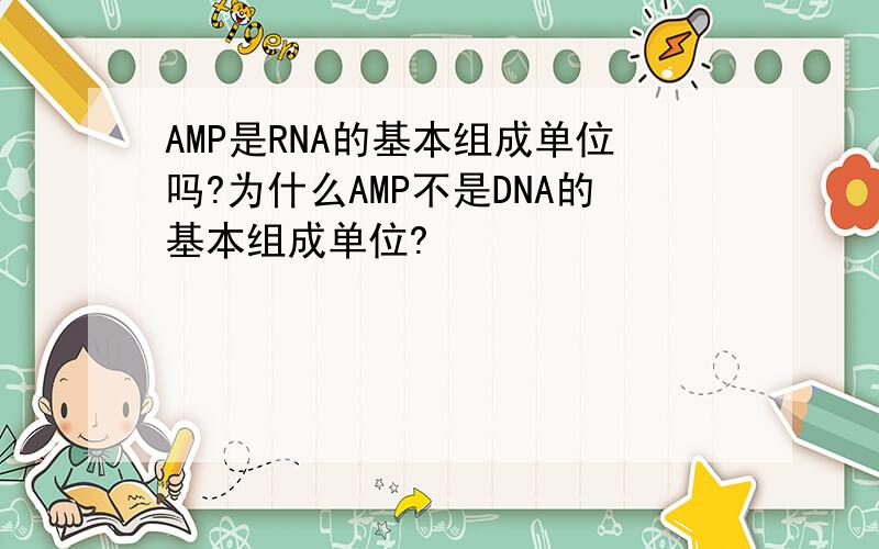 AMP是RNA的基本组成单位吗?为什么AMP不是DNA的基本组成单位?