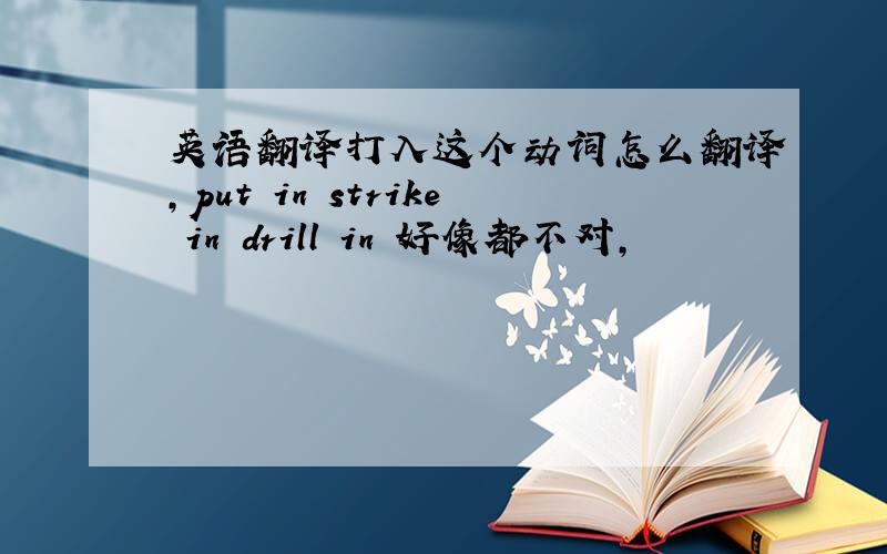 英语翻译打入这个动词怎么翻译,put in strike in drill in 好像都不对,