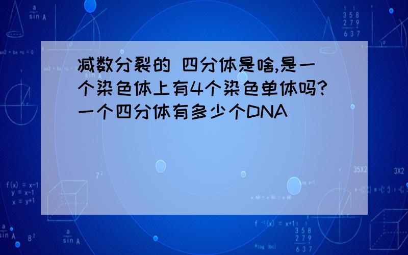 减数分裂的 四分体是啥,是一个染色体上有4个染色单体吗?一个四分体有多少个DNA